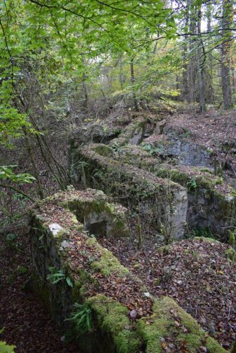 L'observatoire de Frémeréville-sous-les-Côtes en ruines. Crédit : PnrL