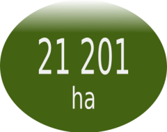 21201ha