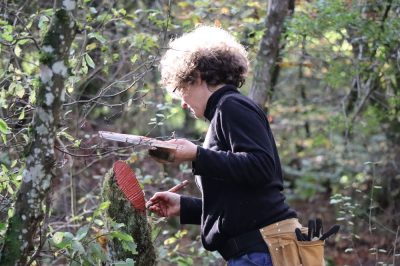 Chantier participatif, octobre 2024. Crédit : PnrL