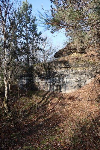 Aujourd’hui, la nature a reconquis le site : dissimulée dans un écrin forestier. Crédit : PnrL